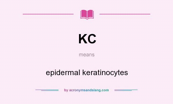 What does KC mean? It stands for epidermal keratinocytes