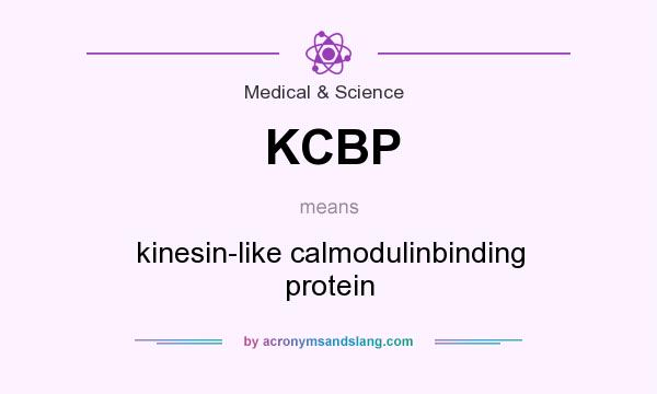 What does KCBP mean? It stands for kinesin-like calmodulinbinding protein