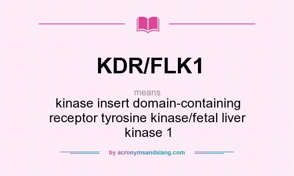 What does KDR/FLK1 mean? It stands for kinase insert domain-containing receptor tyrosine kinase/fetal liver kinase 1