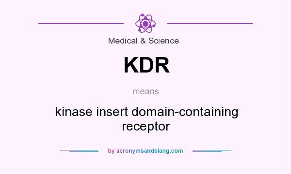 What does KDR mean? It stands for kinase insert domain-containing receptor