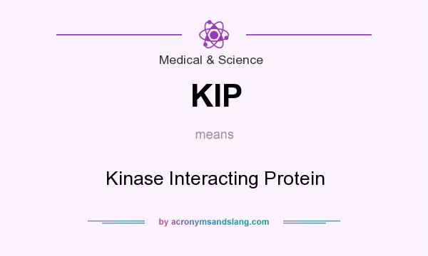 What does KIP mean? It stands for Kinase Interacting Protein