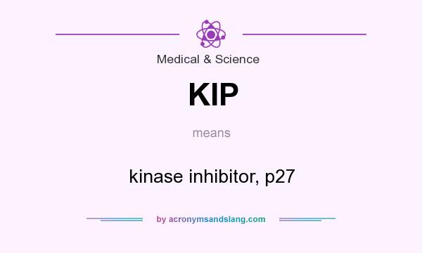 What does KIP mean? It stands for kinase inhibitor, p27
