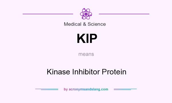 What does KIP mean? It stands for Kinase Inhibitor Protein