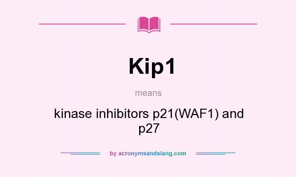 What does Kip1 mean? It stands for kinase inhibitors p21(WAF1) and p27