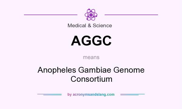 What does AGGC mean? It stands for Anopheles Gambiae Genome Consortium