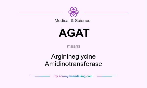 What does AGAT mean? It stands for Arginineglycine Amidinotransferase
