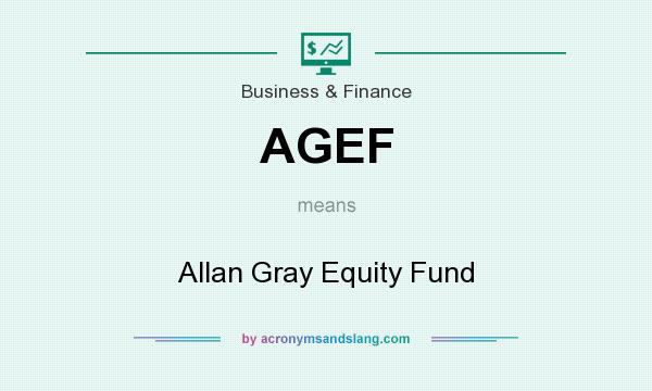 What does AGEF mean? It stands for Allan Gray Equity Fund