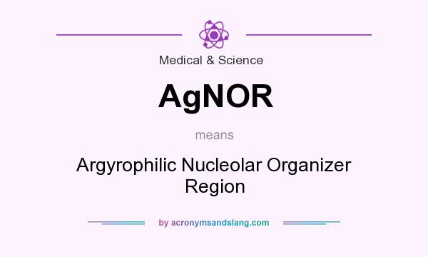 What does AgNOR mean? It stands for Argyrophilic Nucleolar Organizer Region