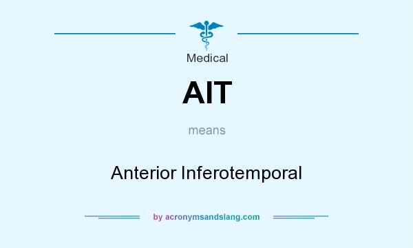 What does AIT mean? It stands for Anterior Inferotemporal