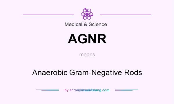 What does AGNR mean? It stands for Anaerobic Gram-Negative Rods