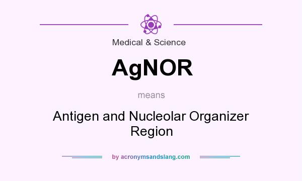 What does AgNOR mean? It stands for Antigen and Nucleolar Organizer Region