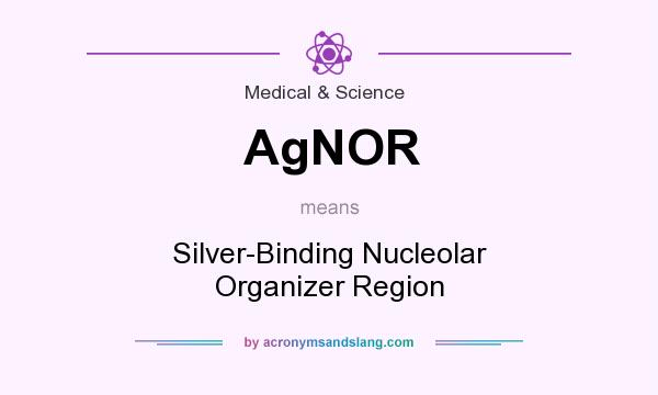 What does AgNOR mean? It stands for Silver-Binding Nucleolar Organizer Region