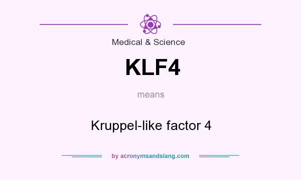 What does KLF4 mean? It stands for Kruppel-like factor 4