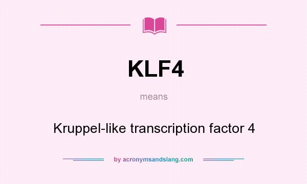 What does KLF4 mean? It stands for Kruppel-like transcription factor 4