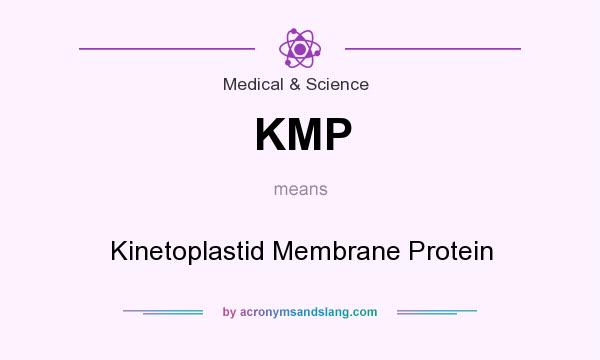What does KMP mean? It stands for Kinetoplastid Membrane Protein