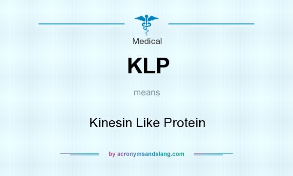 What does KLP mean? It stands for Kinesin Like Protein