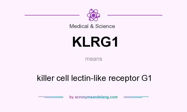 What does KLRG1 mean? It stands for killer cell lectin-like receptor G1