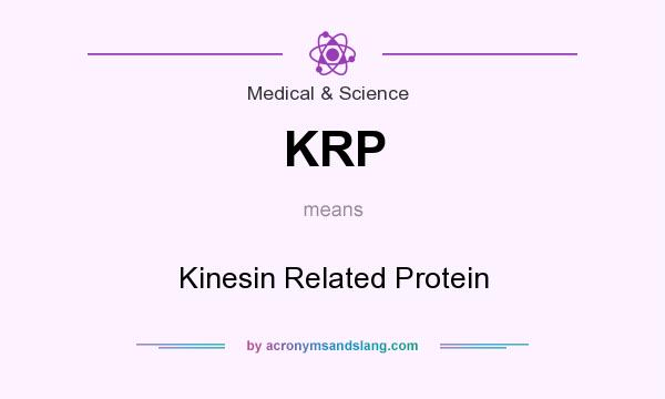 What does KRP mean? It stands for Kinesin Related Protein
