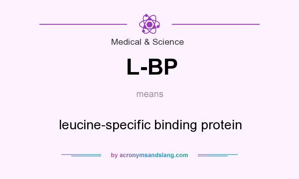 What does L-BP mean? It stands for leucine-specific binding protein