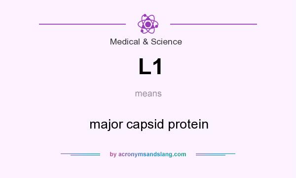 What does L1 mean? It stands for major capsid protein