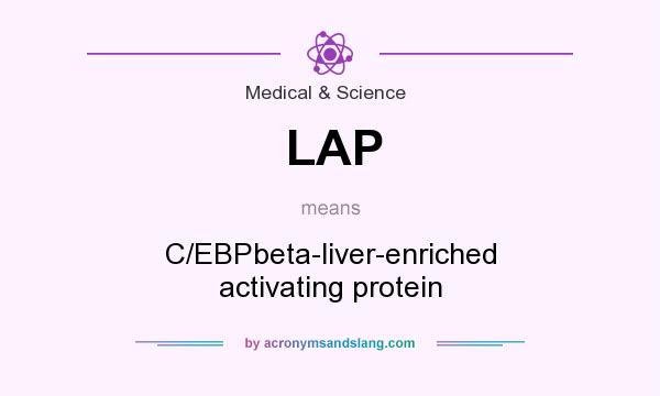 What does LAP mean? It stands for C/EBPbeta-liver-enriched activating protein