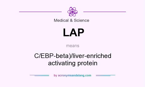 What does LAP mean? It stands for C/EBP-beta)/liver-enriched activating protein