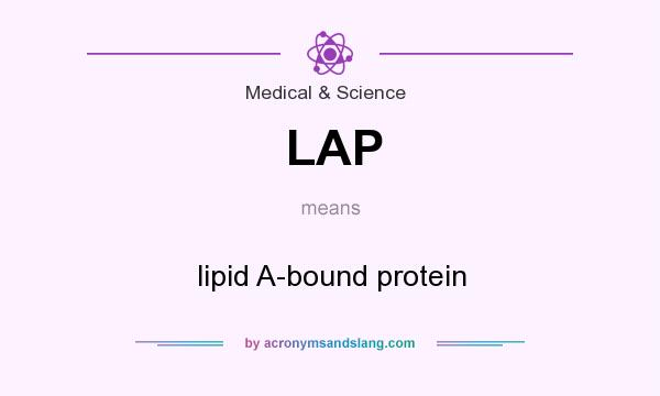 What does LAP mean? It stands for lipid A-bound protein