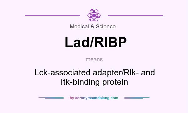 What does Lad/RIBP mean? It stands for Lck-associated adapter/Rlk- and Itk-binding protein