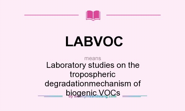 What does LABVOC mean? It stands for Laboratory studies on the tropospheric degradationmechanism of biogenic VOCs
