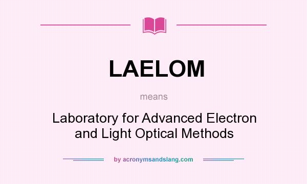 What does LAELOM mean? It stands for Laboratory for Advanced Electron and Light Optical Methods