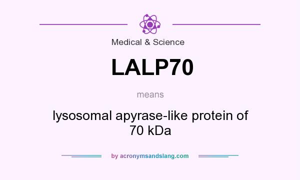 What does LALP70 mean? It stands for lysosomal apyrase-like protein of 70 kDa