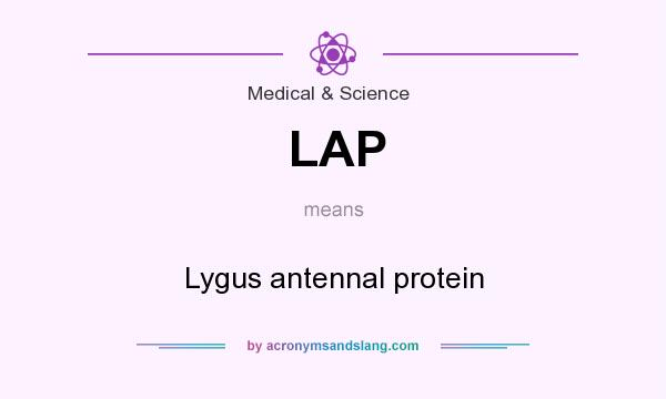 What does LAP mean? It stands for Lygus antennal protein