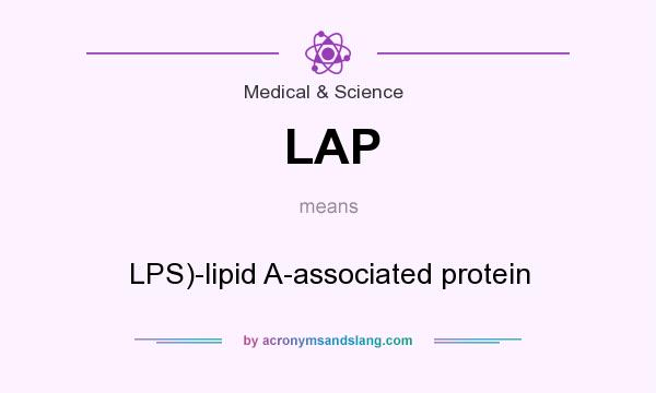 What does LAP mean? It stands for LPS)-lipid A-associated protein