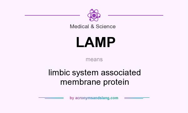 What does LAMP mean? It stands for limbic system associated membrane protein