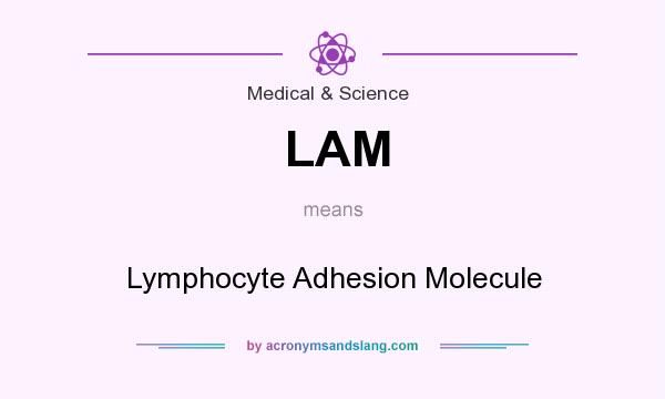 What does LAM mean? It stands for Lymphocyte Adhesion Molecule