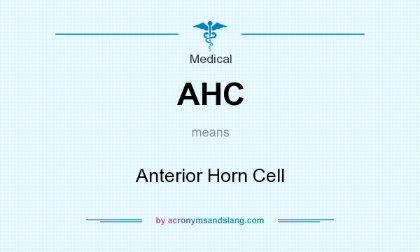 What does AHC mean? It stands for Anterior Horn Cell