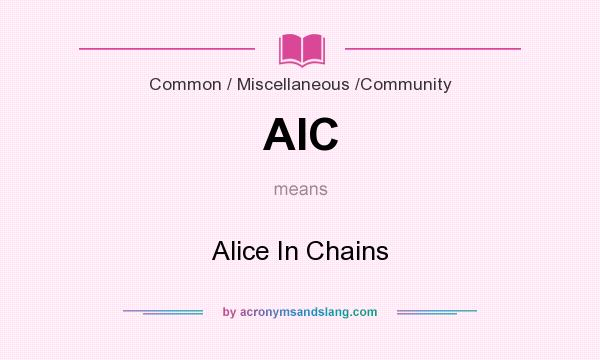 What does AIC mean? It stands for Alice In Chains