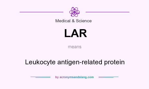 What does LAR mean? It stands for Leukocyte antigen-related protein