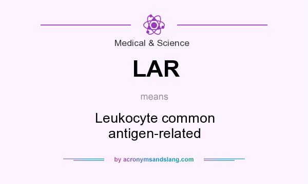 What does LAR mean? It stands for Leukocyte common antigen-related