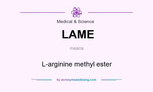 What does LAME mean? It stands for L-arginine methyl ester