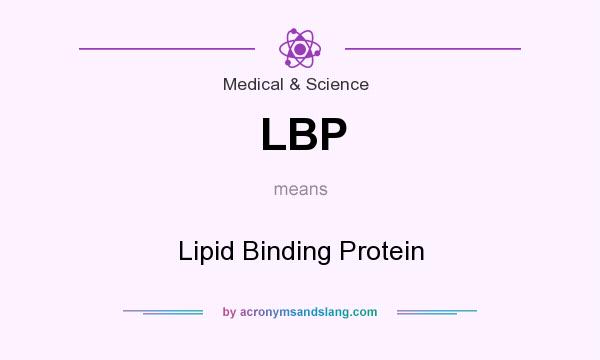 What does LBP mean? It stands for Lipid Binding Protein