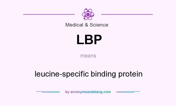 What does LBP mean? It stands for leucine-specific binding protein