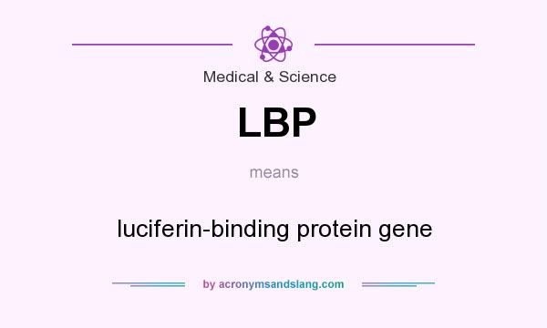 What does LBP mean? It stands for luciferin-binding protein gene