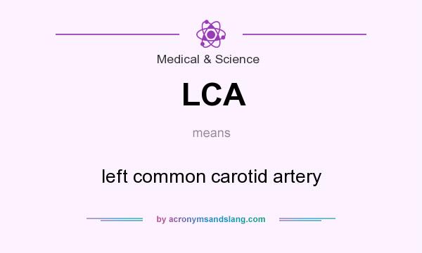 What does LCA mean? It stands for left common carotid artery