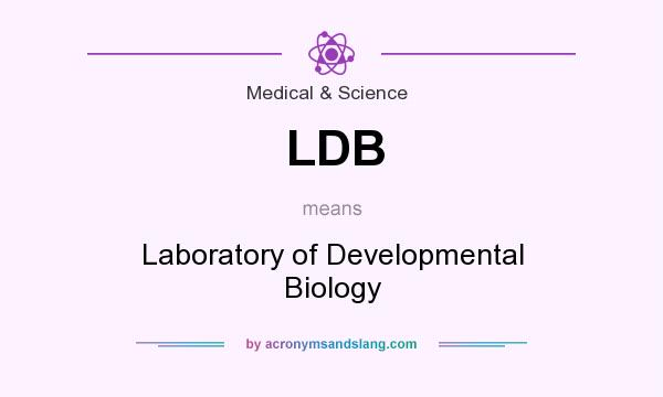 What does LDB mean? It stands for Laboratory of Developmental Biology