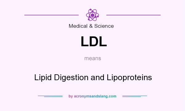 What does LDL mean? It stands for Lipid Digestion and Lipoproteins