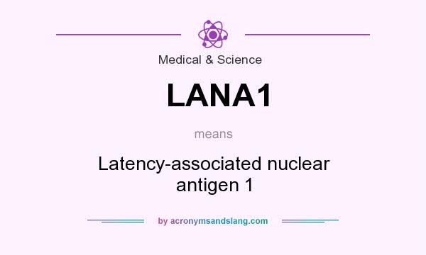 What does LANA1 mean? It stands for Latency-associated nuclear antigen 1