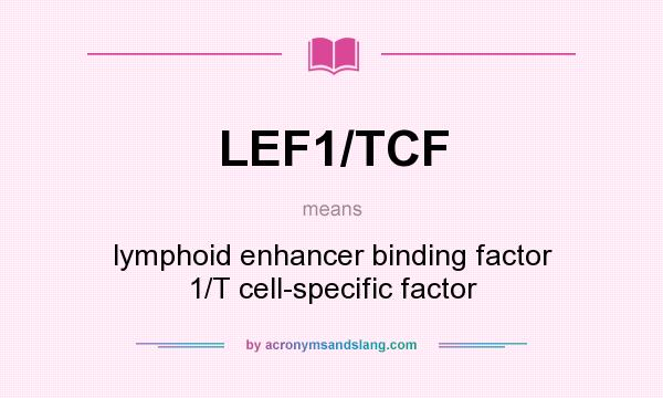 What does LEF1/TCF mean? It stands for lymphoid enhancer binding factor 1/T cell-specific factor