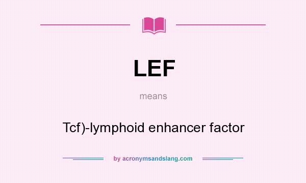 What does LEF mean? It stands for Tcf)-lymphoid enhancer factor