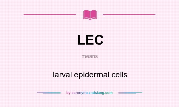 What does LEC mean? It stands for larval epidermal cells